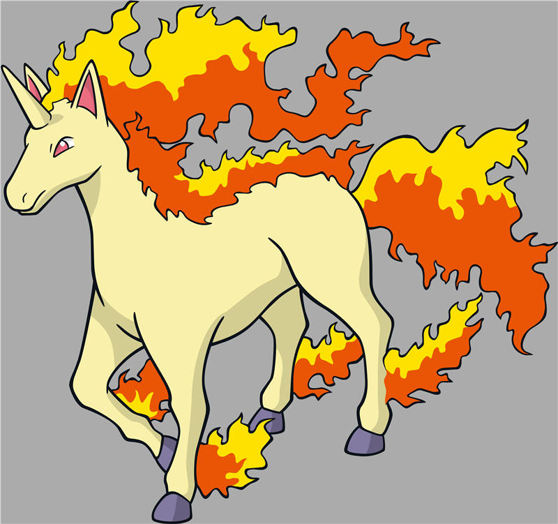 Animation design-RB 952